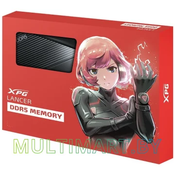 Оперативная память ADATA XPG Lancer 2x16GB DDR5 PC5-51200 (AX5U6400C3216G-DCLABK) картинка 2